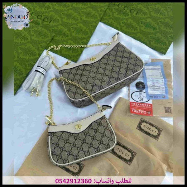 2025124 (11) شنطة قوتشي نسائي صغيرة