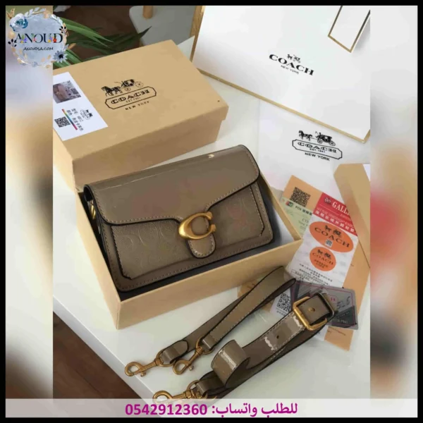 2025145 (10) شنطة كوتش بيج