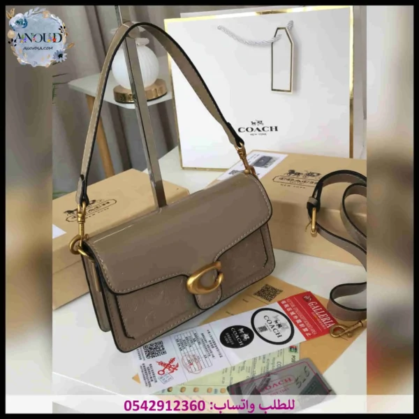 2025145 (5) شنطة كوتش بيج