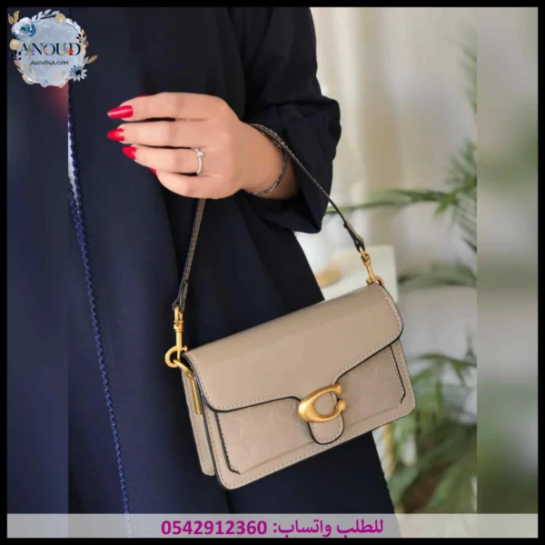 2025145 (8) شنطة كوتش بيج