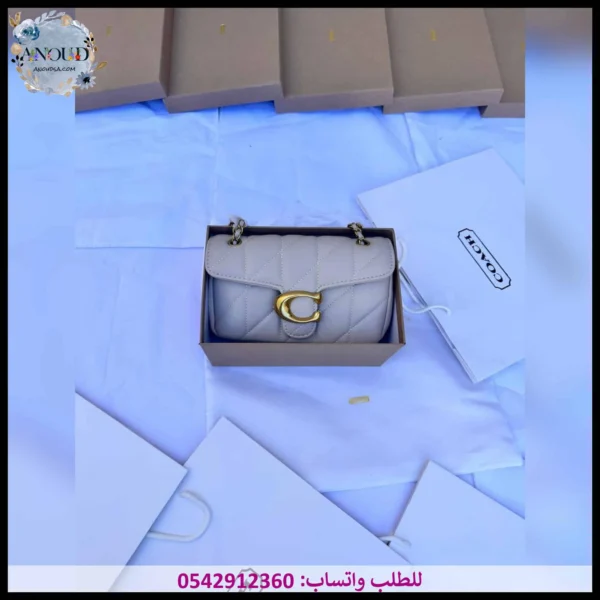 شنطة coach بيج