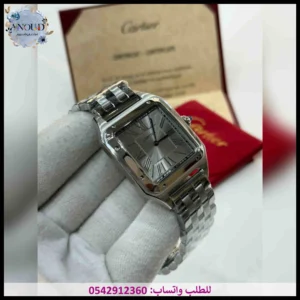 ساعة كارتير سانتوس فضي
