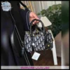 شنطة dior أبيض وأسود