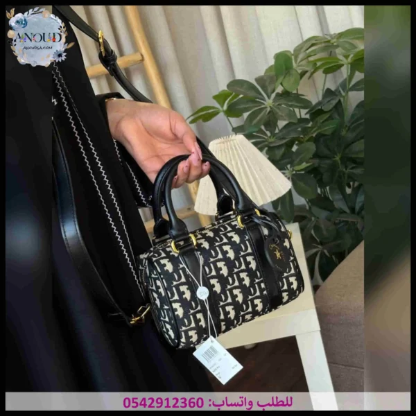 شنطة dior نسائي ميني