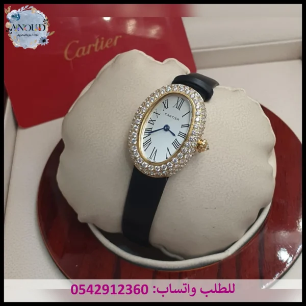 Rad283 ساعة كارتير بينوار جلد (1) ساعة كارتير بينوار أسود