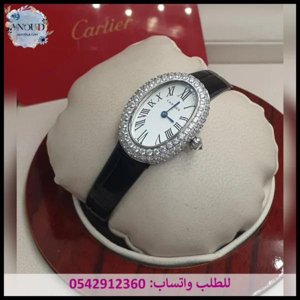 Rad283 ساعة كارتير بينوار جلد (6) ساعة كارتير بينوار أسود